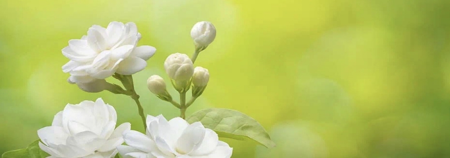_gһ㣬߀Щ@ϲ҂֪
